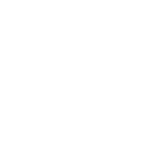 Wueds Hoiz Logo